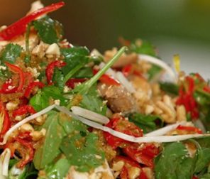 Chicken & Green Papaya Salad